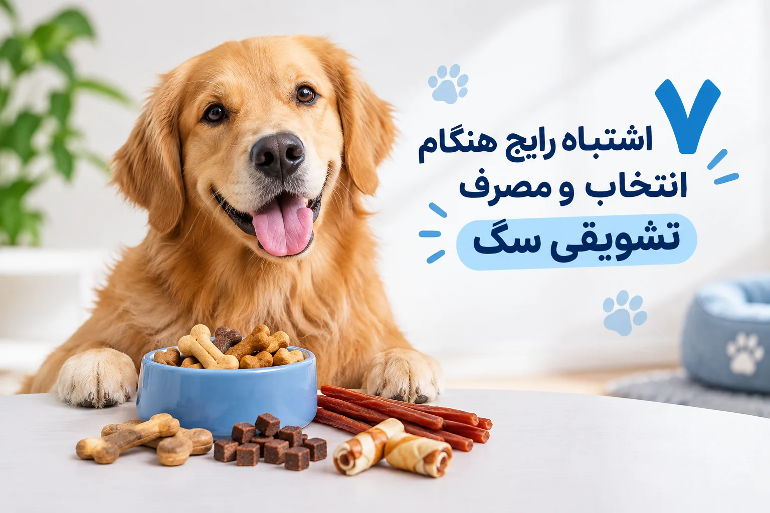 7 اشتباه رایج هنگام انتخاب و مصرف تشویقی سگ